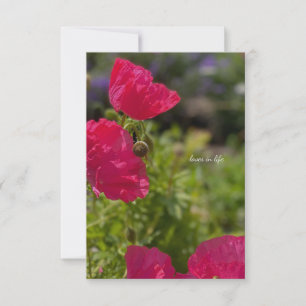Pretty Pink Poppies in the Garden Card