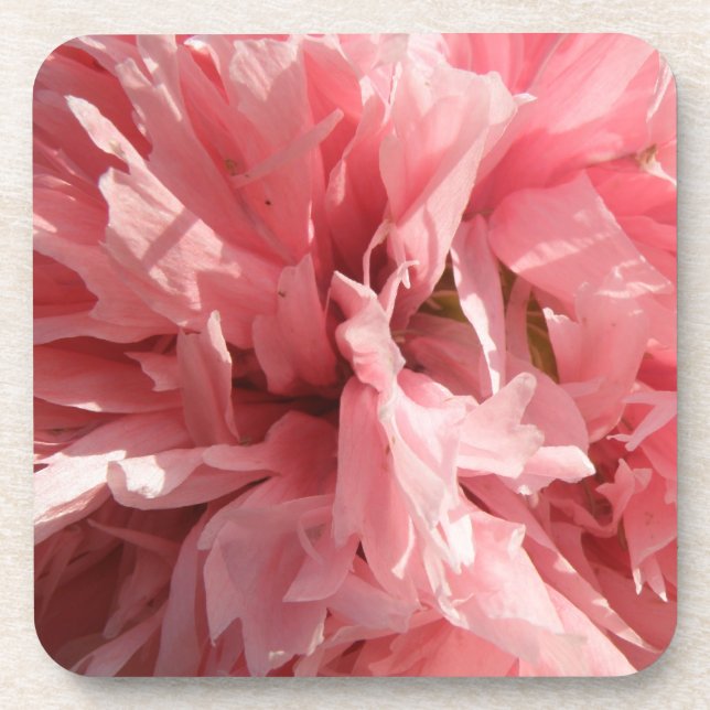 Pretty Pink Poppy Cork Coaster (Front)