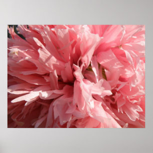 Pretty Pink Poppy Print