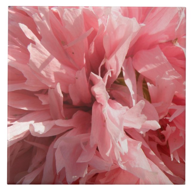 Pretty Pink Poppy Tile (Front)