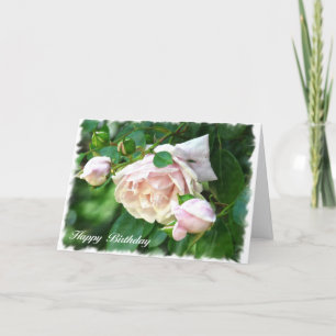 Pretty Pink Rose Birthday Card (with verse)
