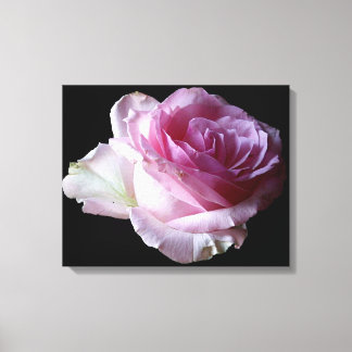 Pretty pink rose black digital modern trendy canvas print
