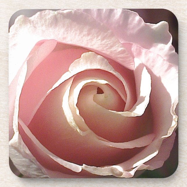 Pretty pink rose coaster (Front)