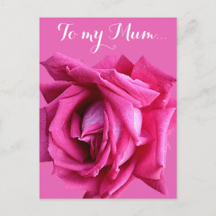 Pretty pink rose floral Happy Mother's Day card