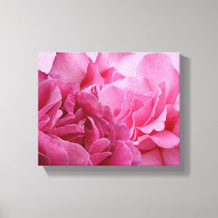 Pretty pink rose floral modern beautiful stylish canvas print