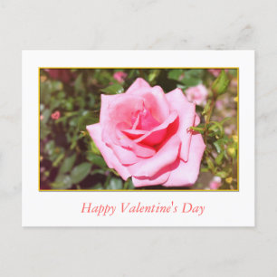 pretty pink rose flower and sweet hearts Valentine Holiday Postcard