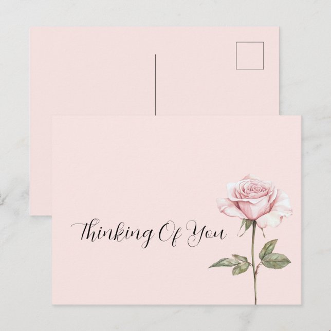 Pretty Pink Rose Flower Postcard (Front/Back)