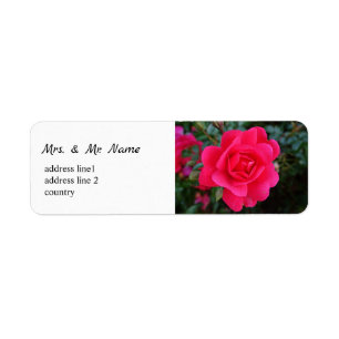 Pretty pink rose flower return address label