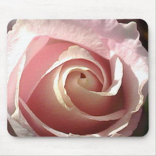 Pretty pink rose mouse pad