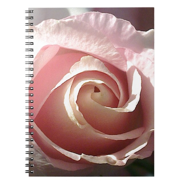 Pretty pink rose notebook (Front)