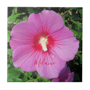 Pretty Pink Rose of Sharon Waterdrops Petals Name Ceramic Tile