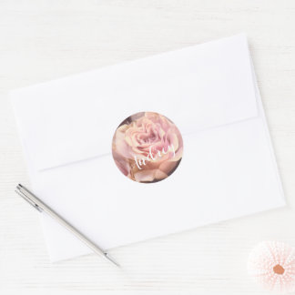 Pretty Pink Rose On Pale Grey  Classic Round Sticker