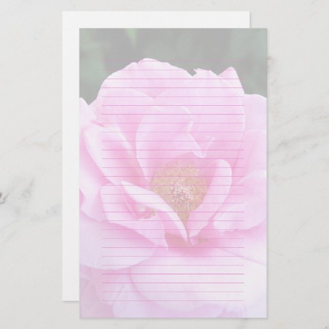 Pretty Pink Rose Romantic Lined Stationery Paper (Front/Back)