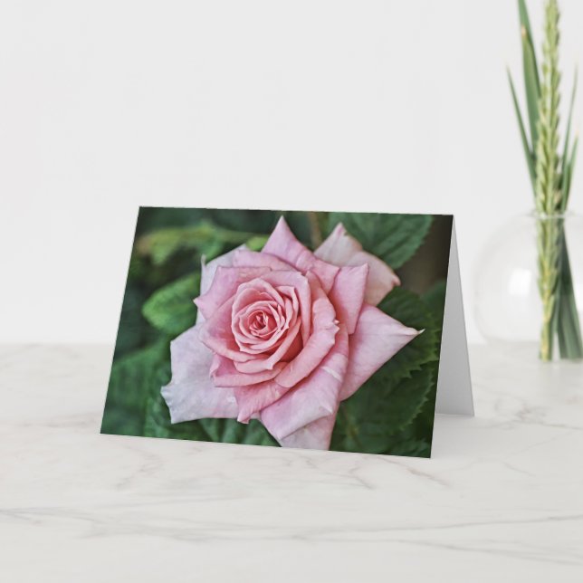 Pretty Pink Rose Scripture Card Hebrews 10:23 (Front)