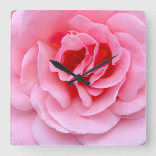 Pretty pink rose square wall clock