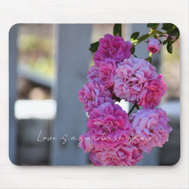 Pretty Pink Roses White Picket Fence Photography   Mouse Pad (Front)