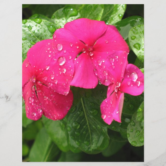 Pretty Pink Spring Flowers Scrapbooking Paper (Front)