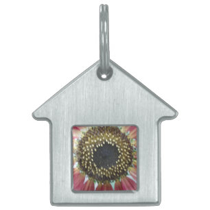 Pretty Pink Sunflower Pet Tag