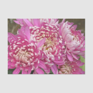 Pretty Pink Tissue Paper