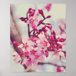 Pretty Pink Tree Blossom Photo Poster