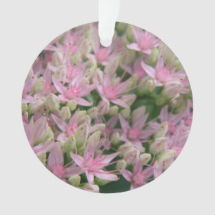 Pretty Pink Tropical Flowers Acrylic Ornament