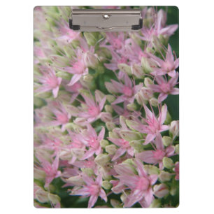Pretty Pink Tropical Flowers Clipboard