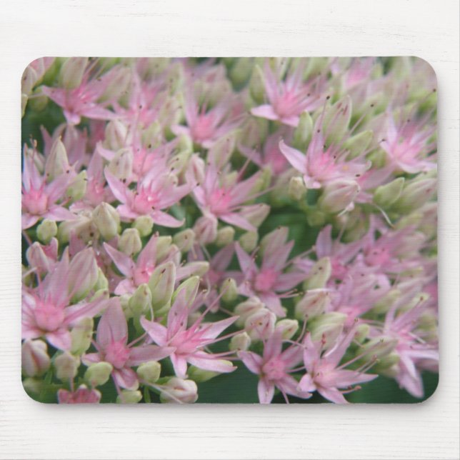 Pretty Pink Tropical Flowers Mousepad (Front)
