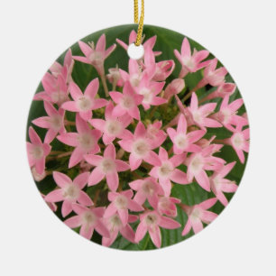 Pretty Pink Tropical Flowers Ornaments