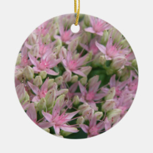 Pretty Pink Tropical Flowers Ornaments