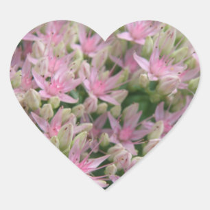 Pretty Pink Tropical Flowers Sticker
