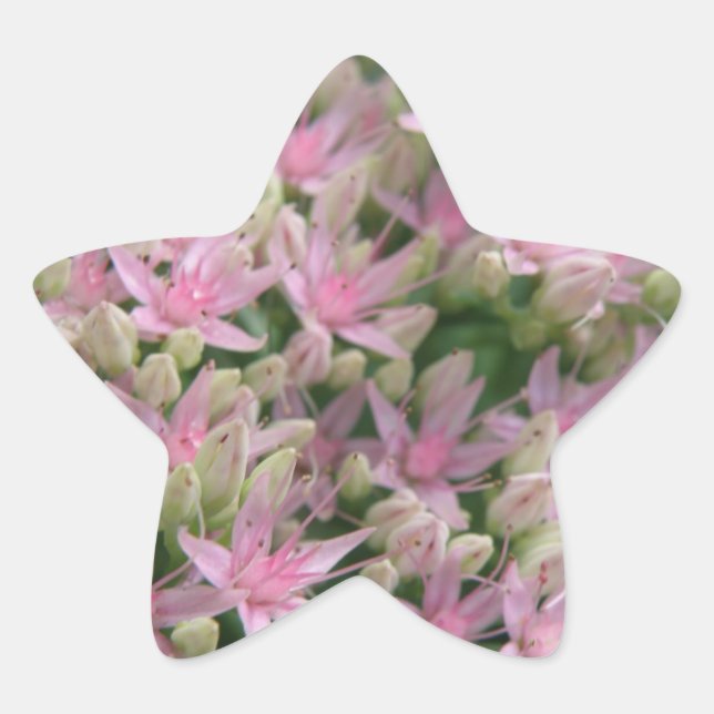 Pretty Pink Tropical Flowers Sticker (Front)