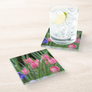 Pretty Pink Tulip Flowers Photograph - Glass Coaster