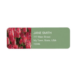 Pretty Pink Tulips Return Address Label