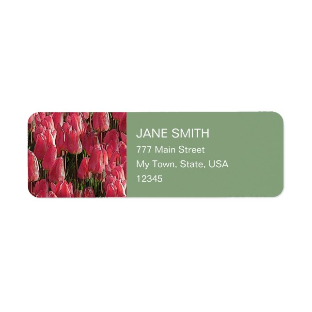 Pretty Pink Tulips Return Address Label (Front)