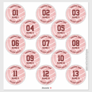 pretty pink volleyball sports themed celebration