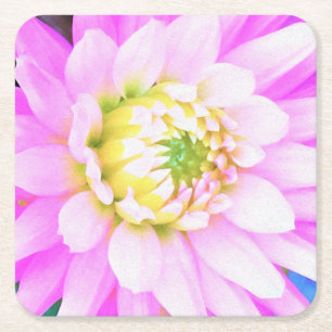 Pretty Pink, White and Yellow Cactus Dahlia Macro Square Paper Coaster