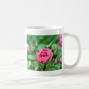 pretty pink wild rose buds and flower coffee mug