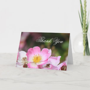 pretty pink wild rose flower thank you cards