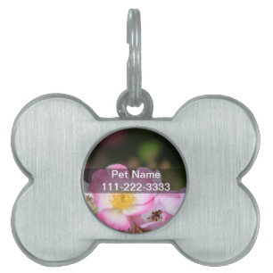 pretty pink wild rose flowers for ladies pet name tag