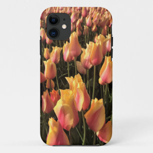 Pretty Pink & Yellow Tulips iPhone 11 Case