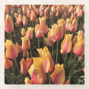 Pretty Pink & Yellow Tulips Glass Coaster