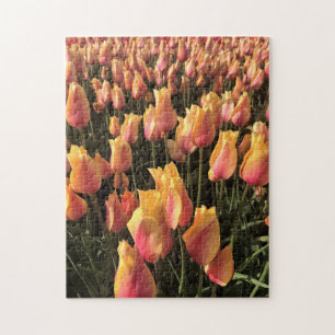 Pretty Pink & Yellow Tulips Jigsaw Puzzle