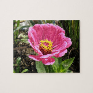 Pretty Pink Zinnia Puzzle