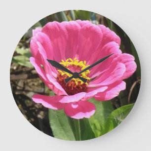 Pretty Pink Zinnia Wall Clock