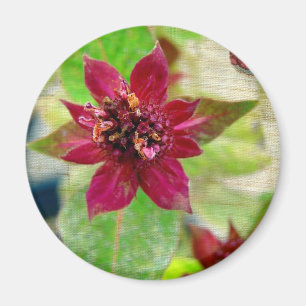 Pretty Plant 2 Magnet
