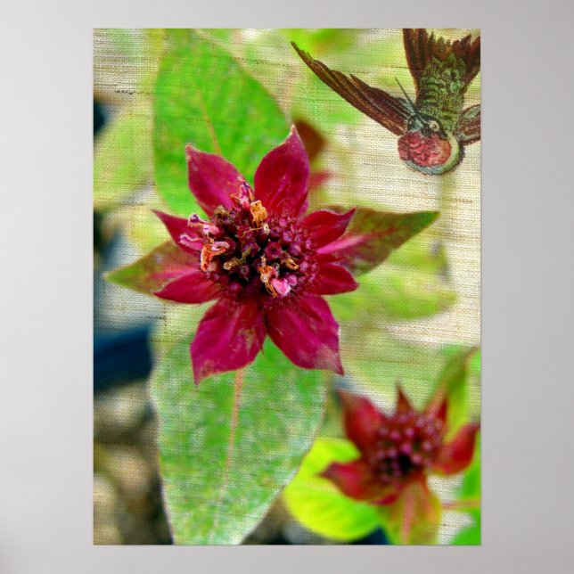 Pretty Plant 2 Poster (Front)