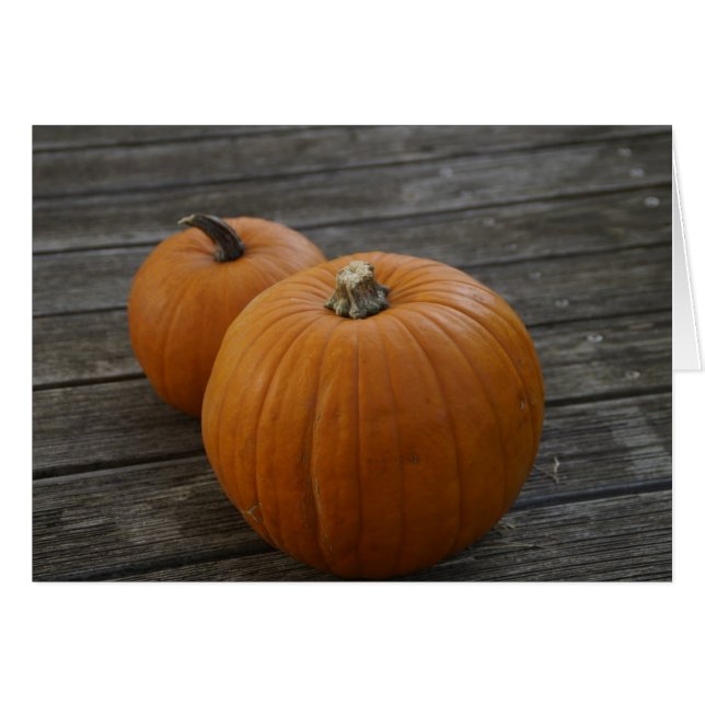 Pretty Plump Pumpkins Greeting Card (Front Horizontal)