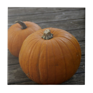 Pretty Plump Pumpkins Tile