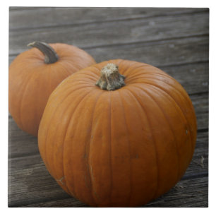Pretty Plump Pumpkins Tile