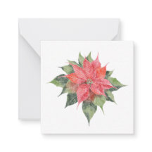 Pretty Poinsettia